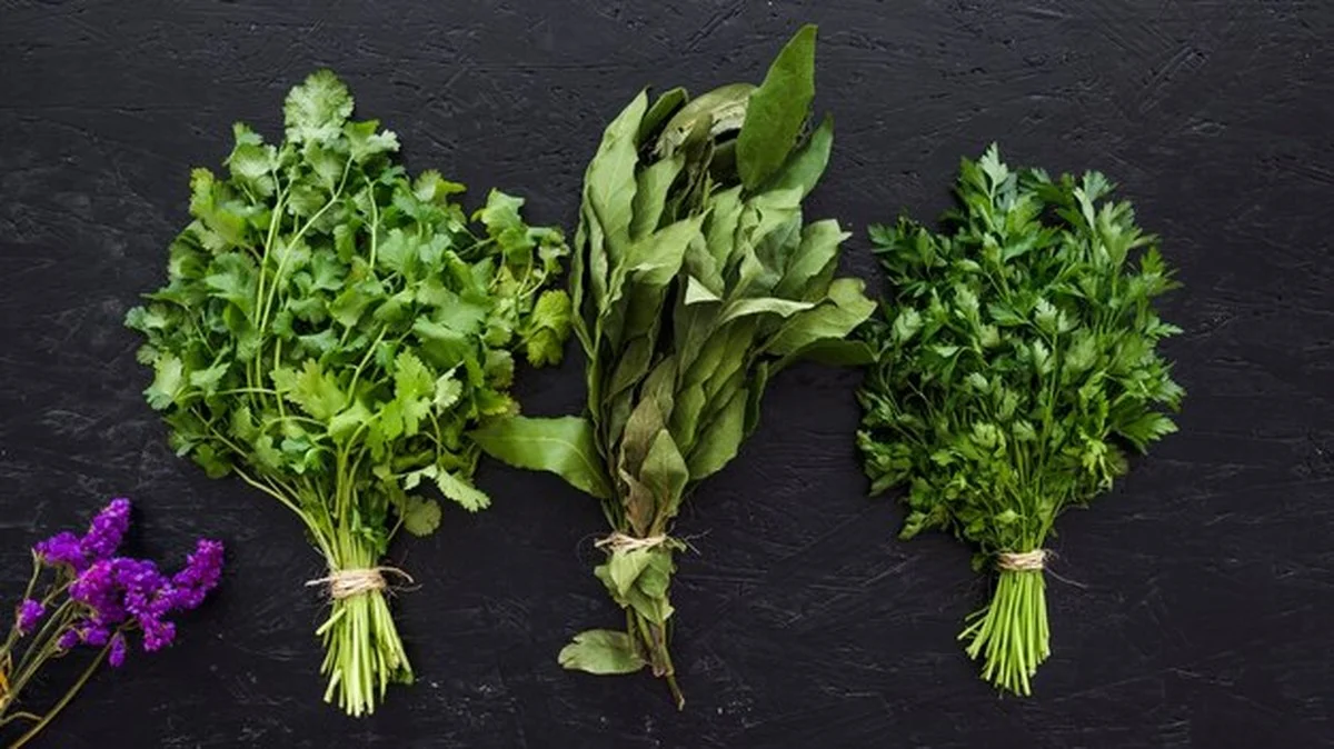 Čerstvé bylinky na kuchyňské lince – návod pro všechny, i bez zahrady