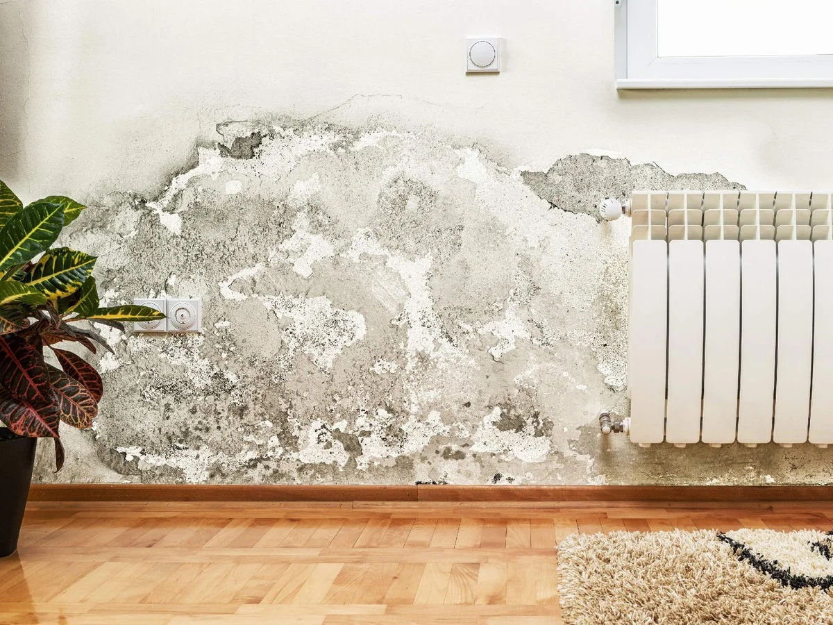 Jak se zbavit vlhkosti v bytě pomocí obyčejného soli - image 1