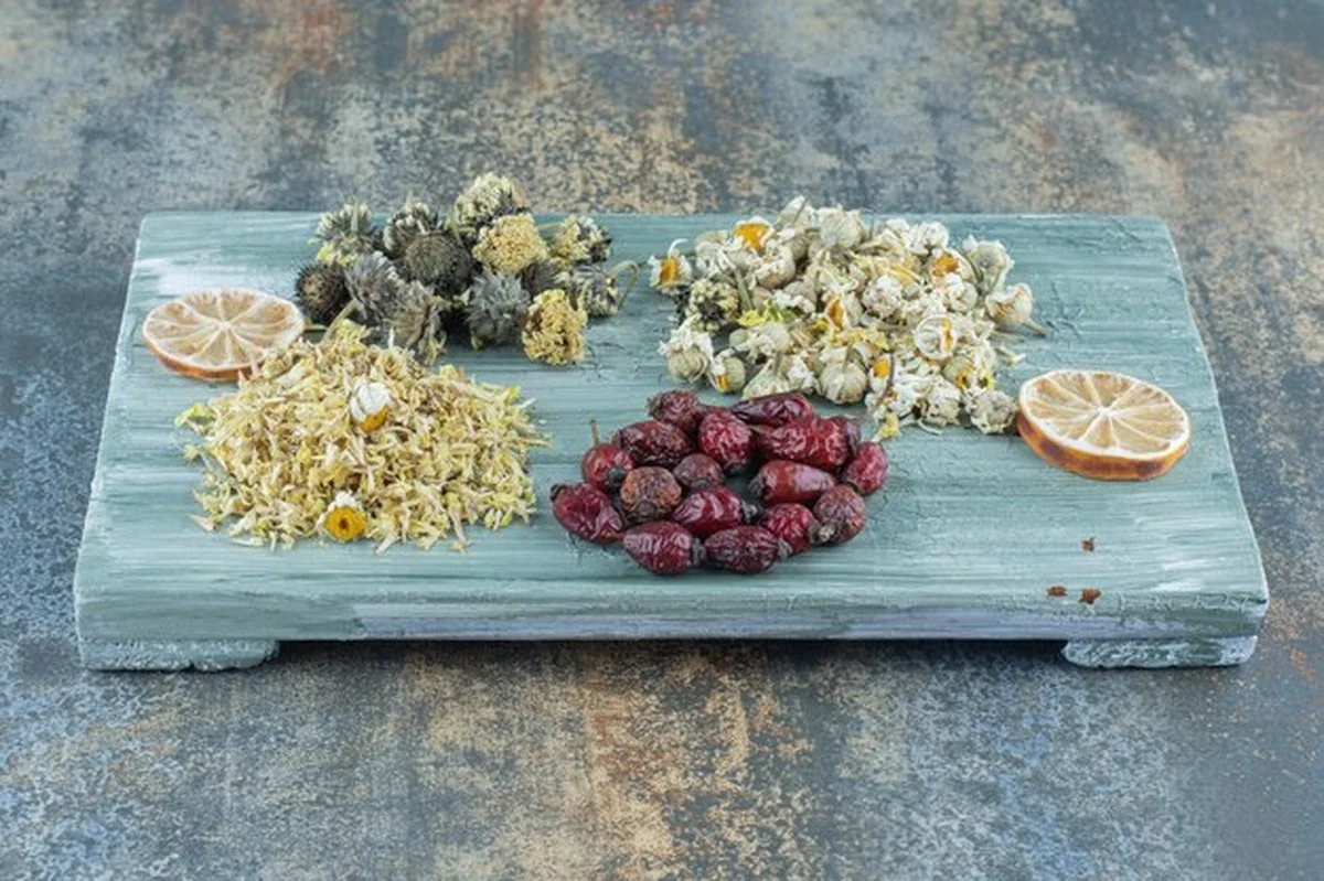 Jak usušit bylinky z zahrady správně, aby nezměnily barvu a sílu