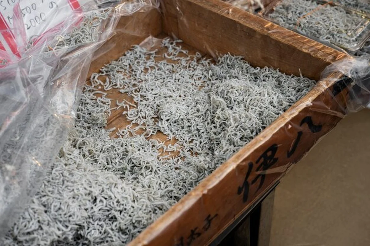 Květiny na zimu: trik s papírem, který opravdu funguje - image 1