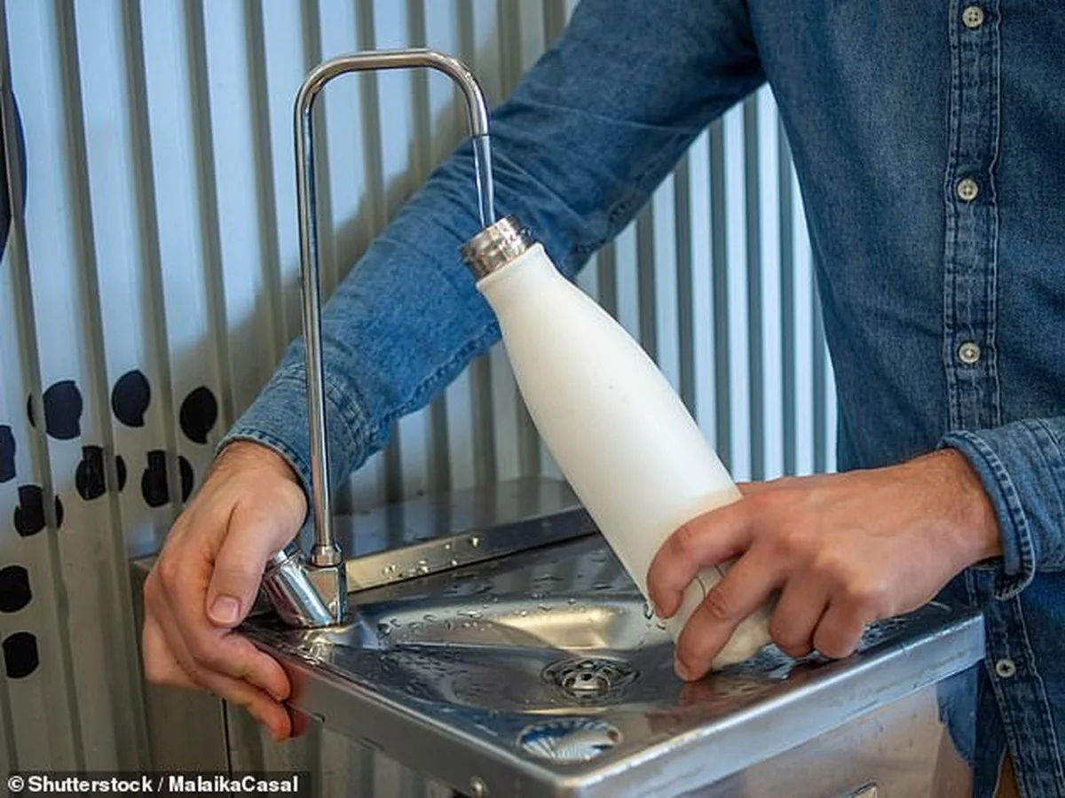 Papírová osuška v batůžku: geniální trik proti plísním na cestách - image 2