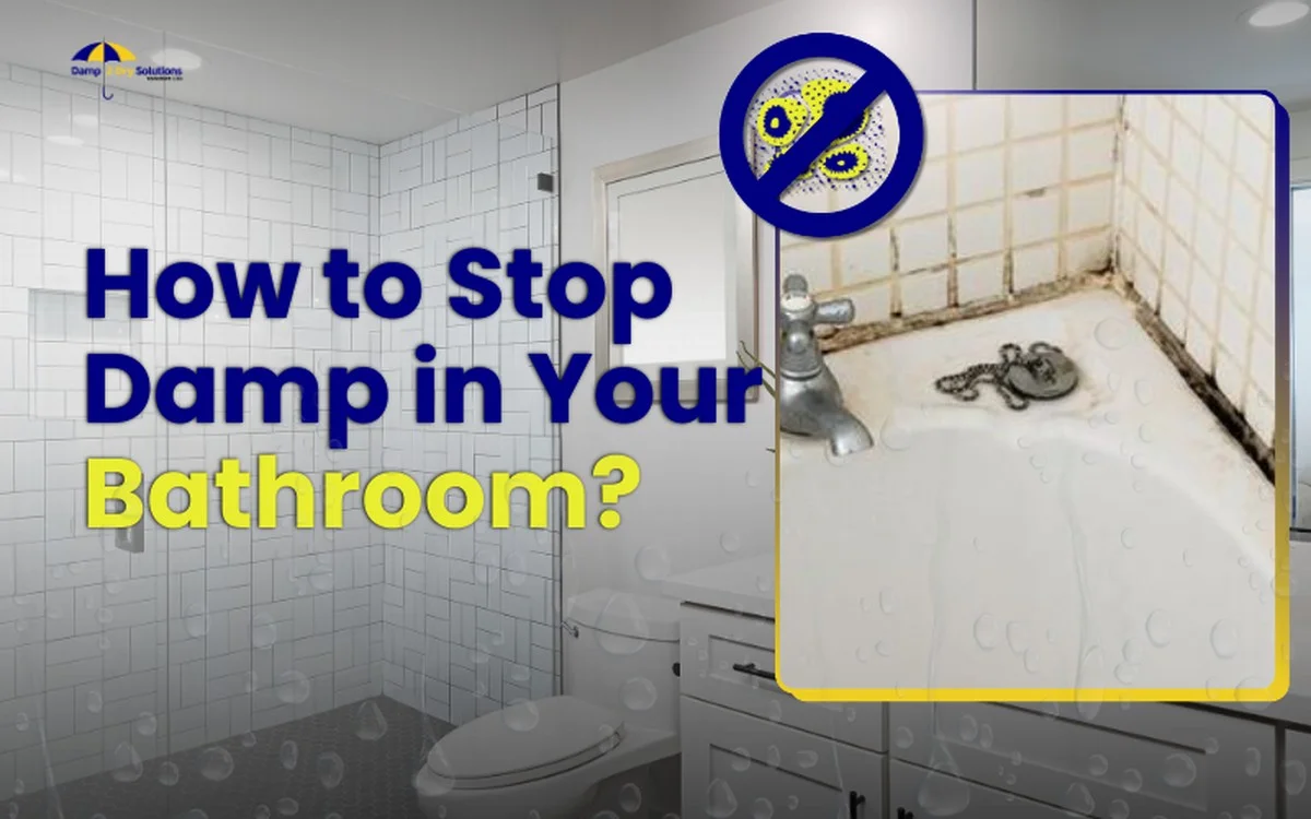 Papírové ručníky pod vánou: levný trik na vlhkost a plísně - image 2