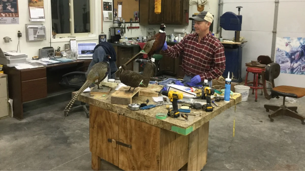 Peroxid v umyvadle: Proč švédské taxidárie to používají denně - image 1