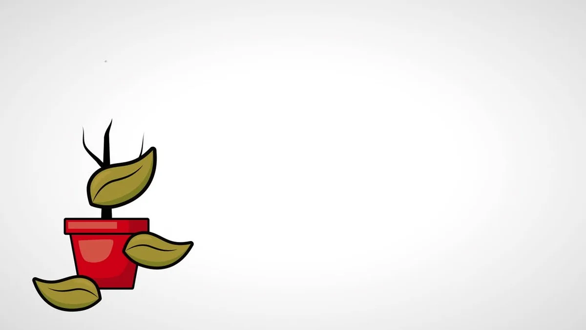 Proč umírají vaše rostliny – chyba, kterou děláte každý den - image 1