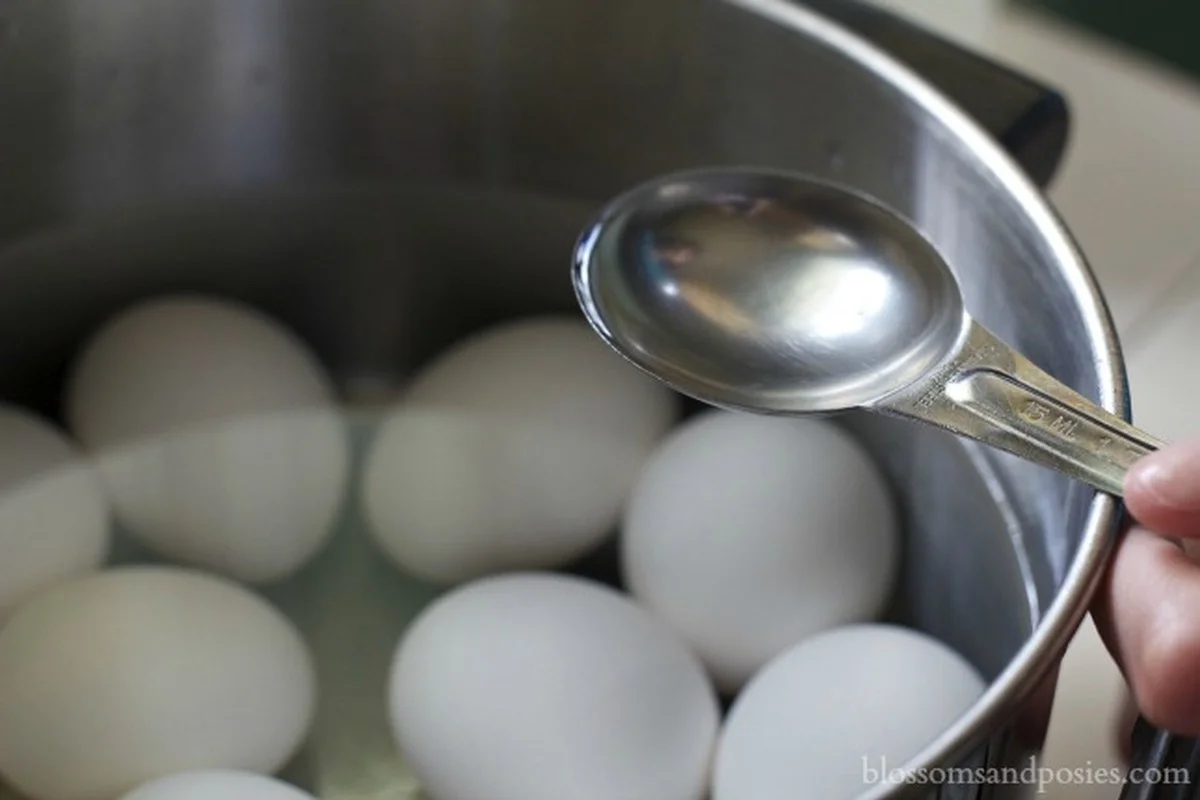 Proč všichni kuchtári přidávají ocet při vaření vajec: Věda, kterou znají jen v kuchyni - image 1