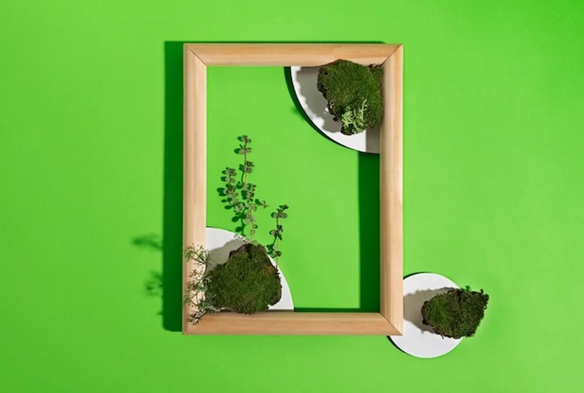 Prosinec 2025: kde v domě umístit tento předmět podle feng-šueje