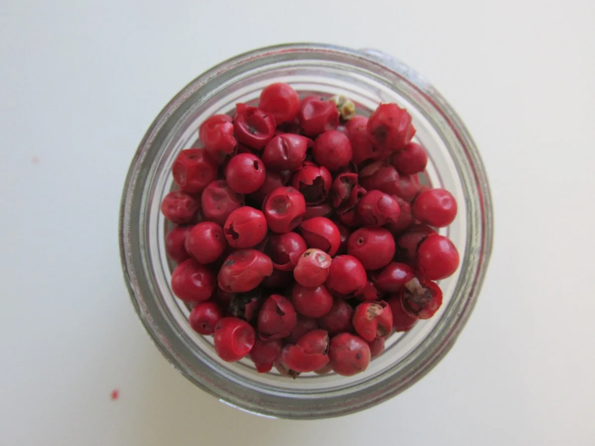 Růžový pepř v květináči: starý indický trik proti plísním