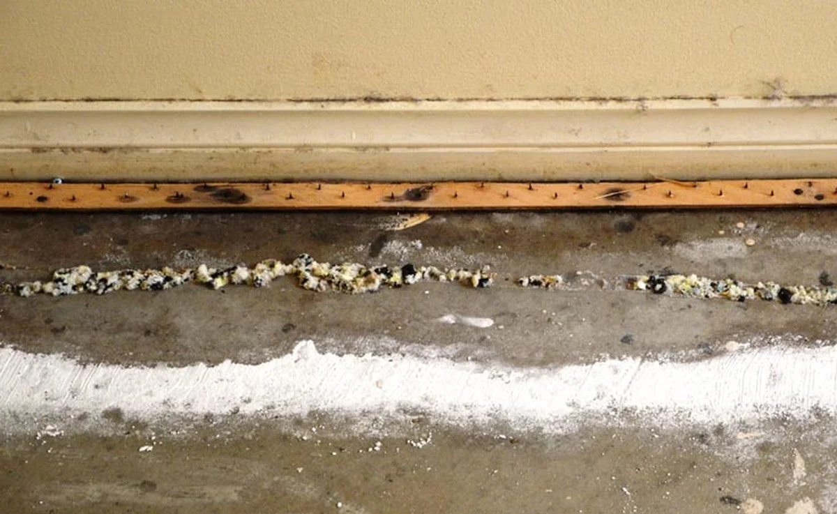 Sůl na koberci: vědecky prokázaný způsob, jak vysušit vlhké místnosti