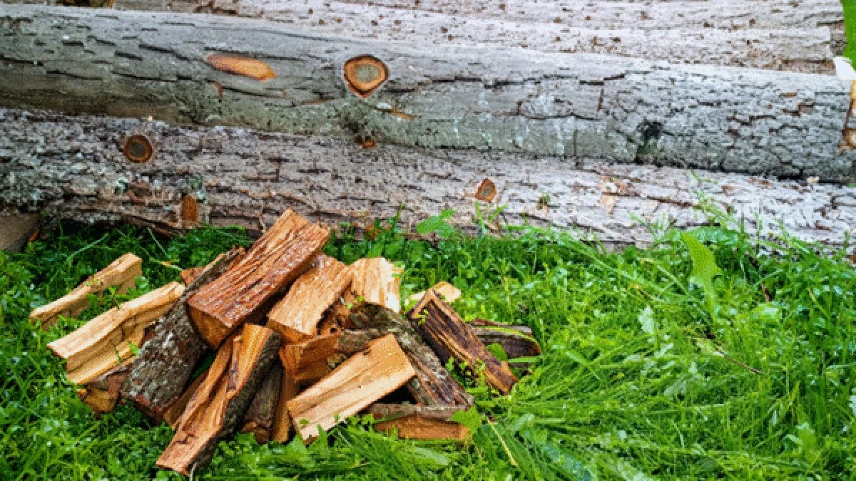 Tesaři varují: nikdy nesuště mokré dřevo v topené místnosti – zbytečně zničíte nábytek