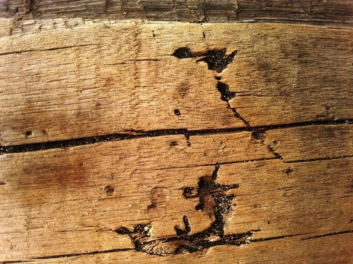 Tesaři varují: nikdy nesuště mokré dřevo v topené místnosti – zbytečně zničíte nábytek - image 1