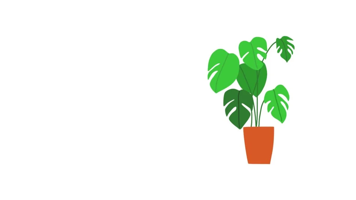 Vědci objevili, proč vaše rostliny selhávají a jak je zachránit