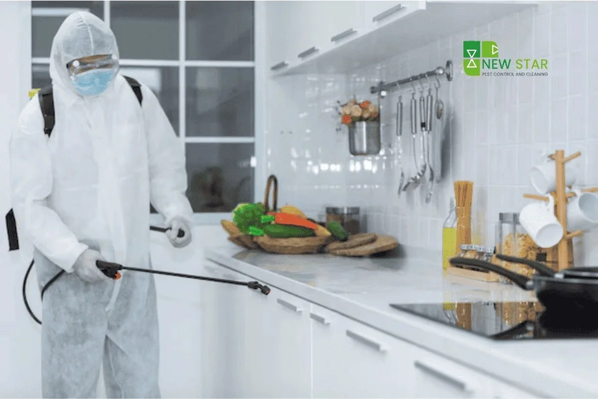 Vložte bobkový list do mouky: забуdnutý trik proti molům z roku 1920 - image 2