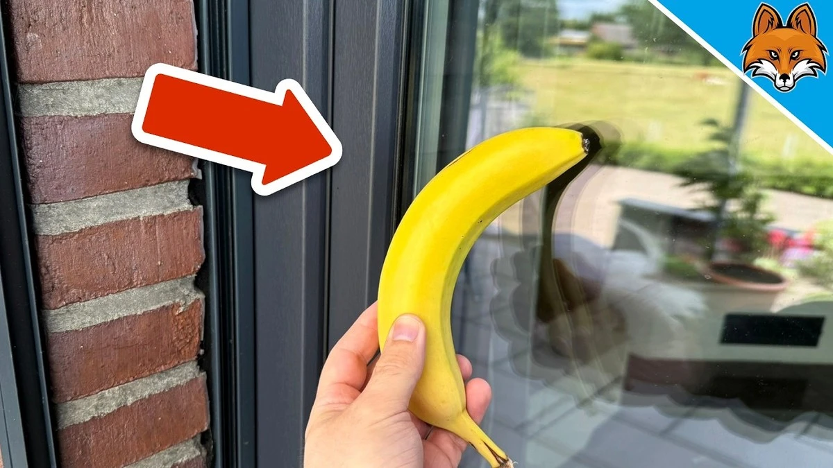 Banánová slupka na zrcadle: proč ji tam nechávají profesionální kadeřnice - image 2