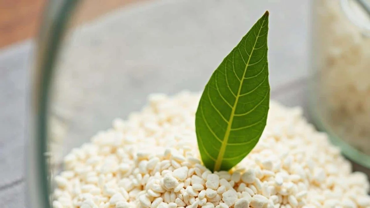 Bobkový list do mouky: jak naši prababičky předcházely molům a broucům