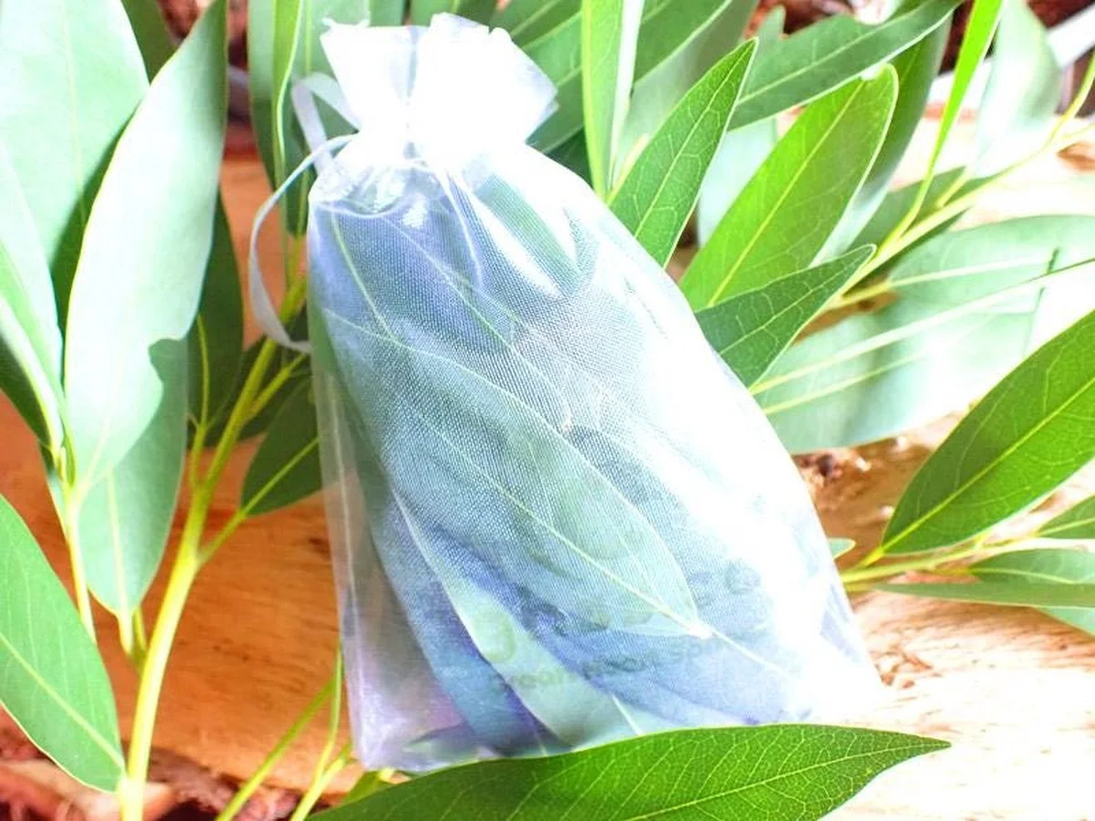 Bobkový list do mouky: stará babská trika proti molům a hmyzu - image 1