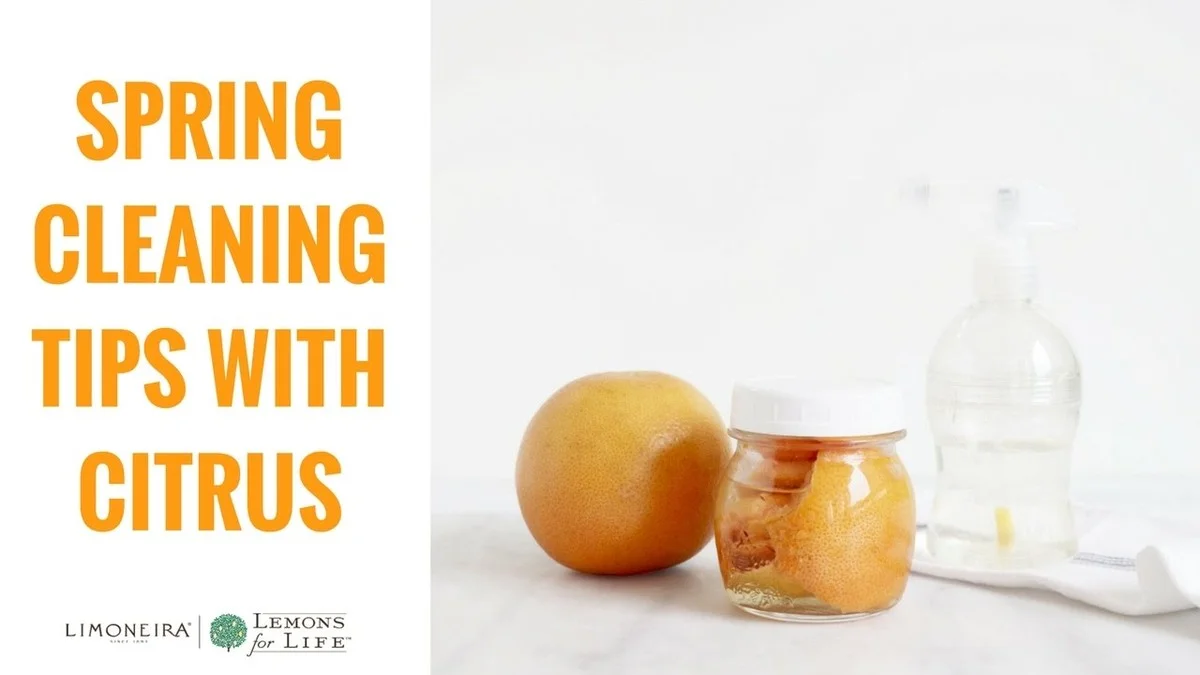 Citronová kůra namísto drahých čističů oken: senior vám to nepoví - image 2