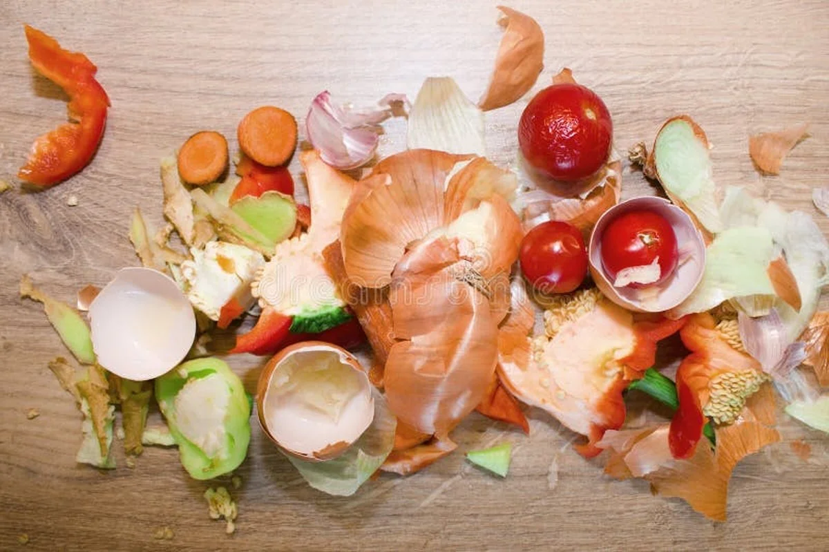 Instalatéři varují: nikdy netlačte kousky cibule do odpadů - image 1