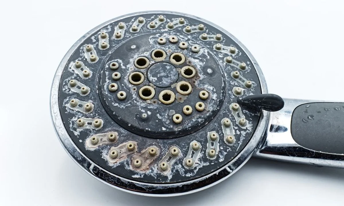 Jedlá soda na sprchové hlavici: jak se zbavit vápna za 5 minut - image 1