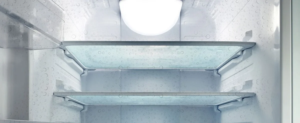 Kolíček do prádla na ledničku zadržuje vlhkost a zabraňuje plísni