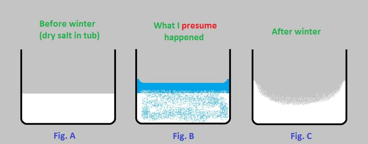 Kuchařů tajemství: proč sůl přidávají do ledničky na zeleninu - image 2