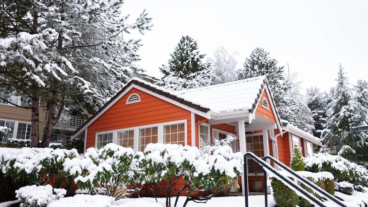 Noviny pod koberec? Profesionálové trik pro dokonalé vytápění místnosti - image 2