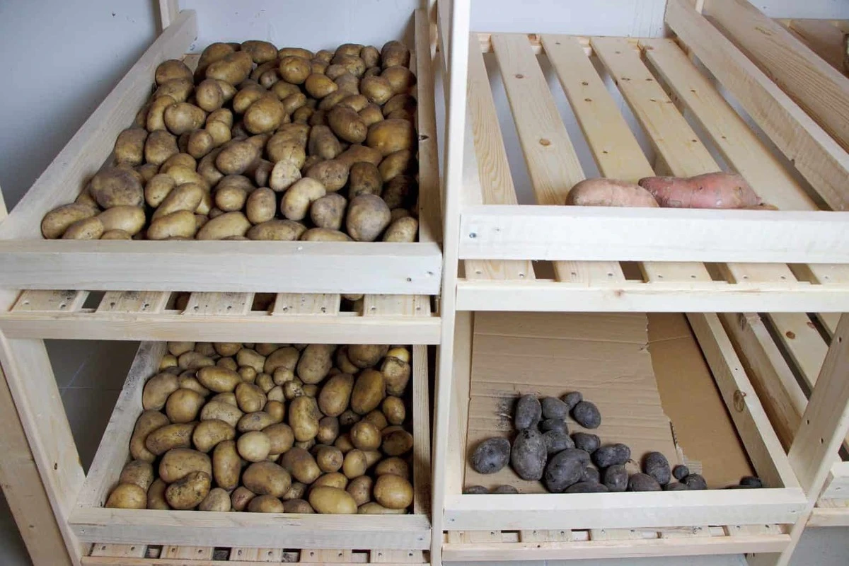 Papírová ubrouska v zásuvce zeleniny: Proč to hotelové kuchyně dělají - image 2