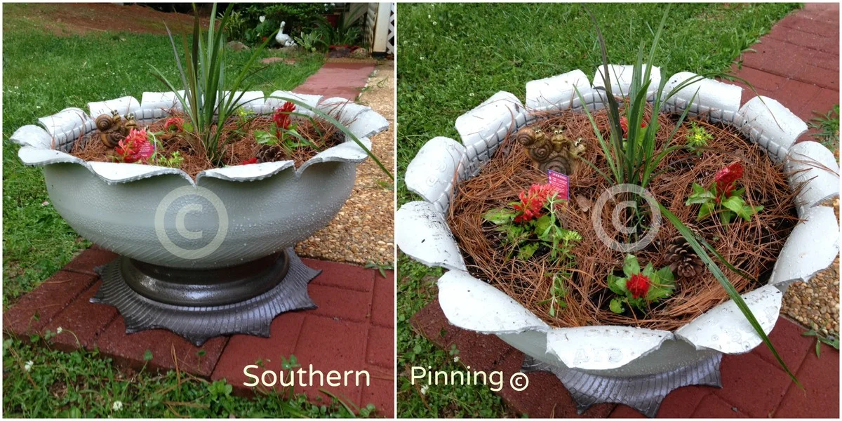 Pneu od kola jako přesadník: zahradnický trik který vaše květiny zachrání