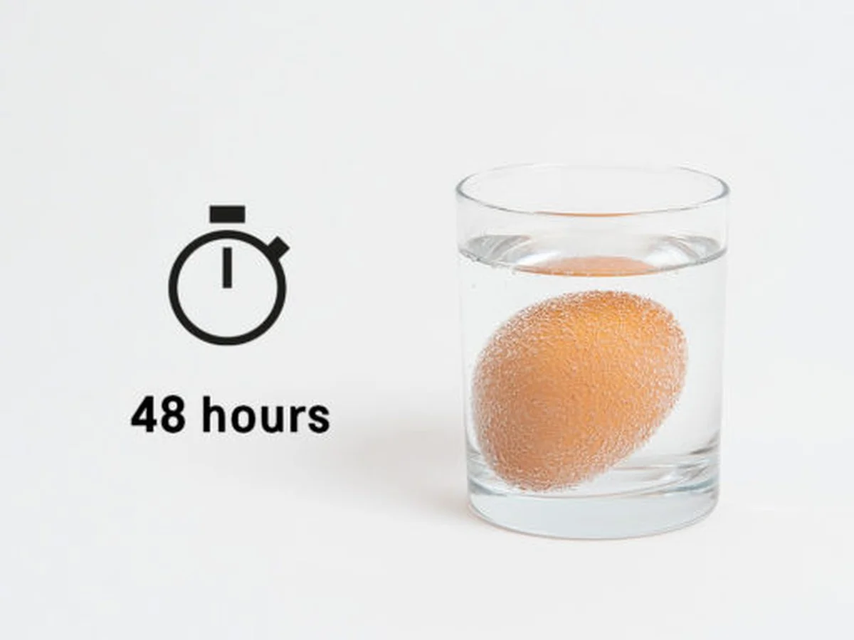 Proč všichni šéfkuchaři přidávají ocet do vroucí vody s vejci - image 1