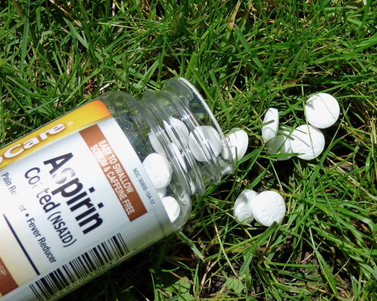 Rozpuštěný aspirin ve vaší zahradě: léčba, kterou botanici tiše doporučují