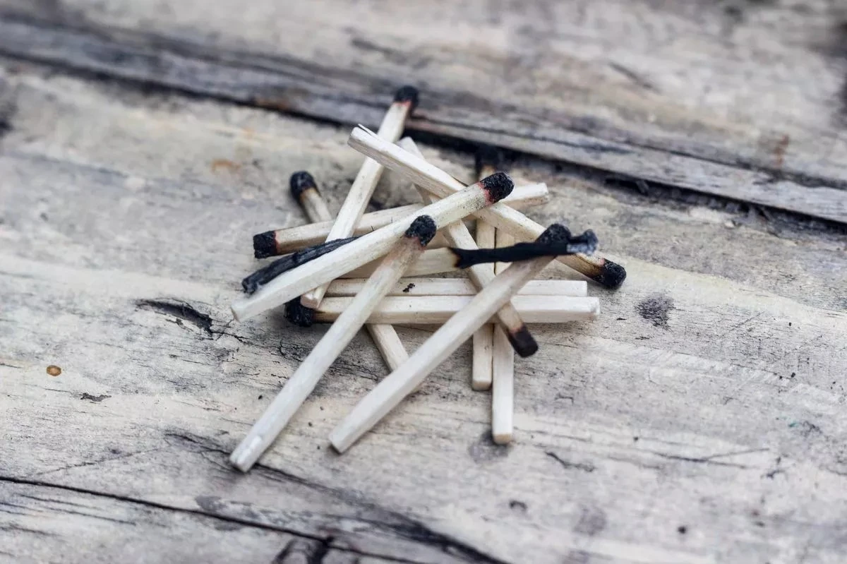 Sirka do květináče se zeminou: Proč se ztrácejí komáři během týdne - image 2