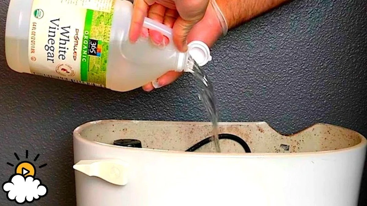 Soda a ocet v záchodě: chemie, která stojí méně než jednu kávou - image 1