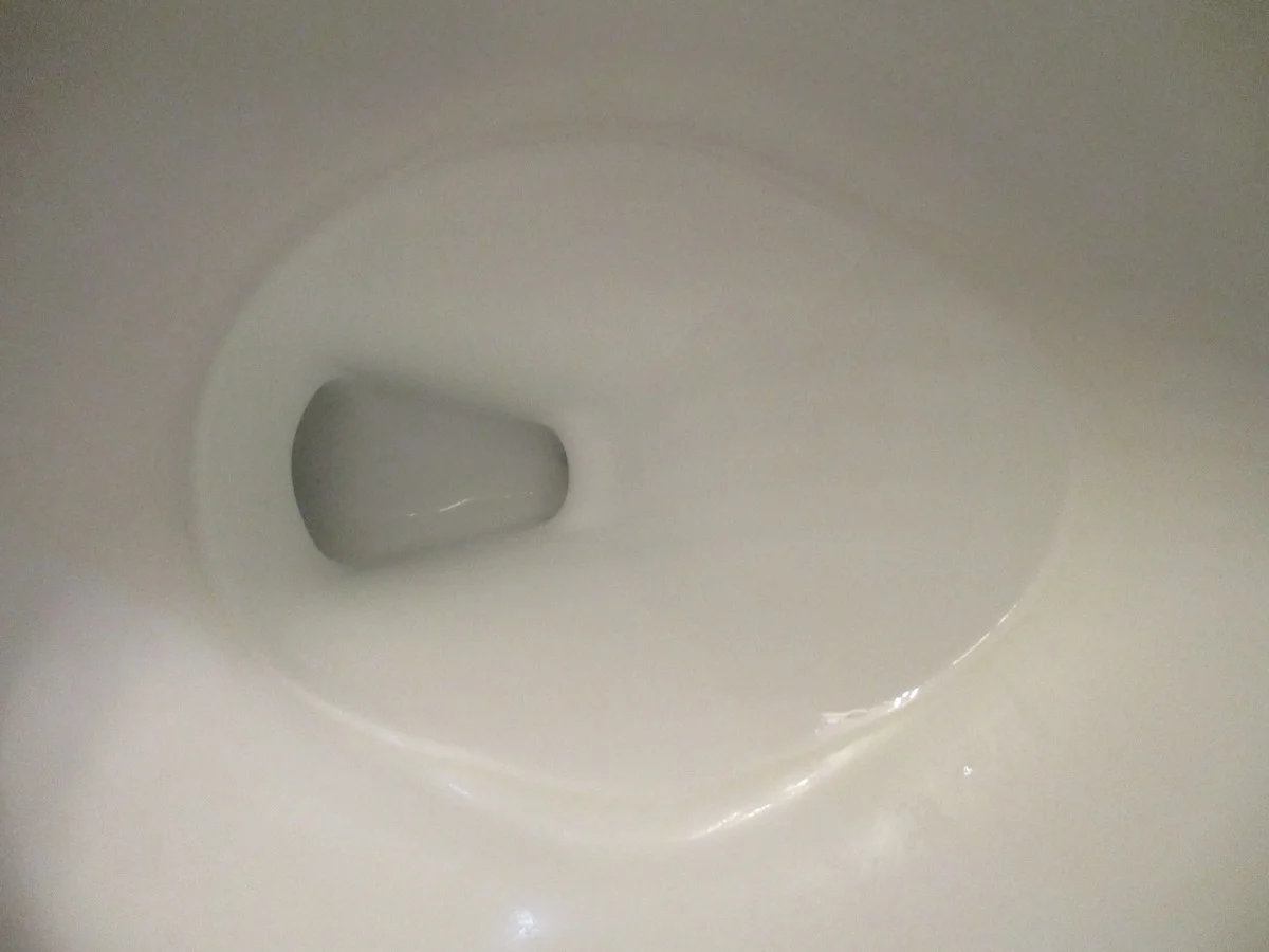 Sodová voda v toaletě: jak to funguje lépe než sprcha na WC - image 2