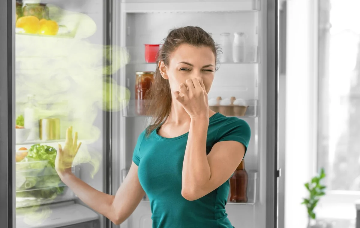 Starý dort v mrazáku? Genius trik jak zbavit lednici pachů natrvalo - image 1