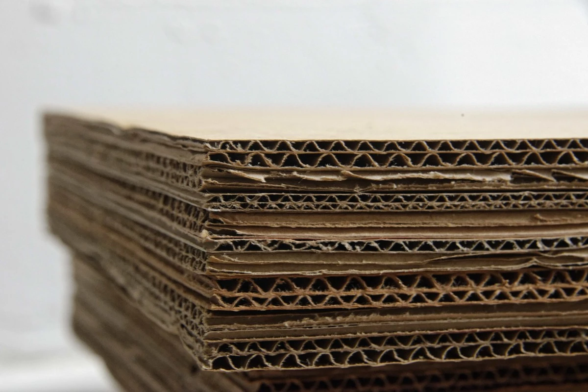 Starý kartón pod koberec? Nejlepší izolace, kterou máte doma