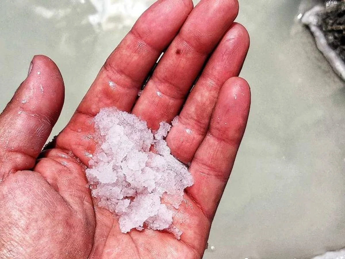 Sůl na květiny prodlouží jejich život o týden navíc - image 1