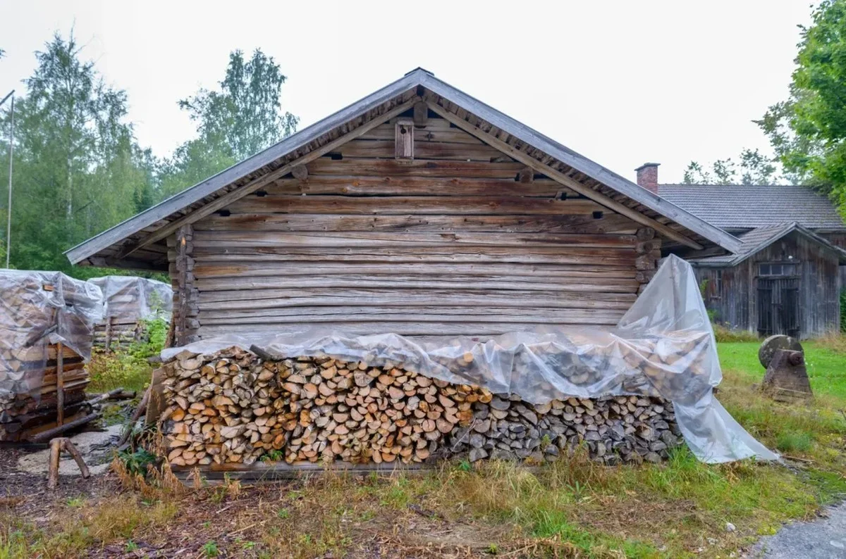 Tesaři prozrazují: proč se dřevo trhaní v létě a jak to zastavit - image 1