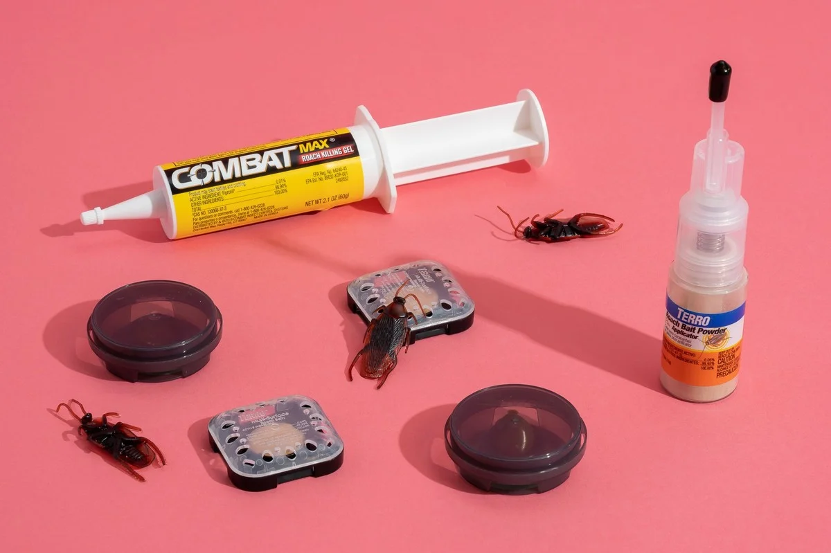 Vejce a petrolej: chemická kombinace proti švábům na půl roku