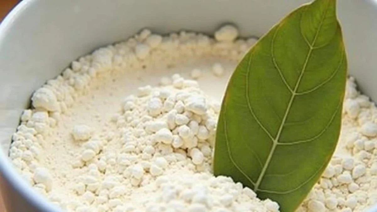 Vložte bobkový list do mouky a zapomeňte na моль navždy