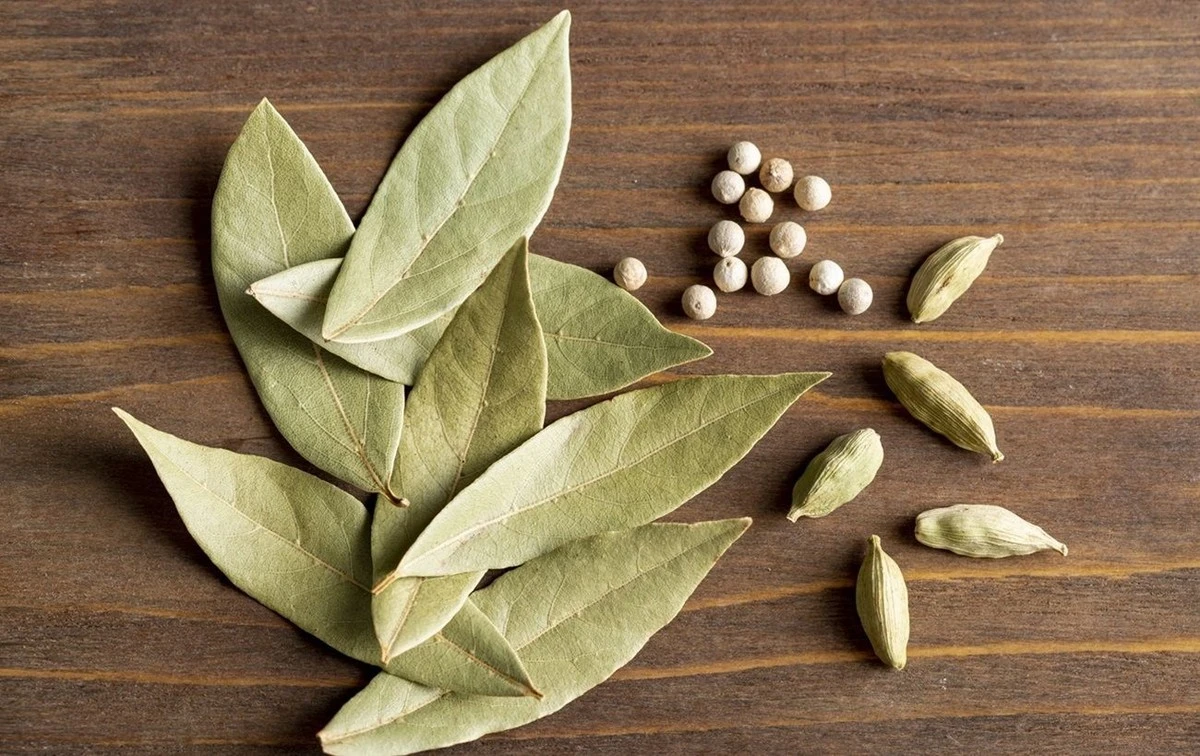 Bobkový list v mouce: staré triku proti molům, které funguje stovky let