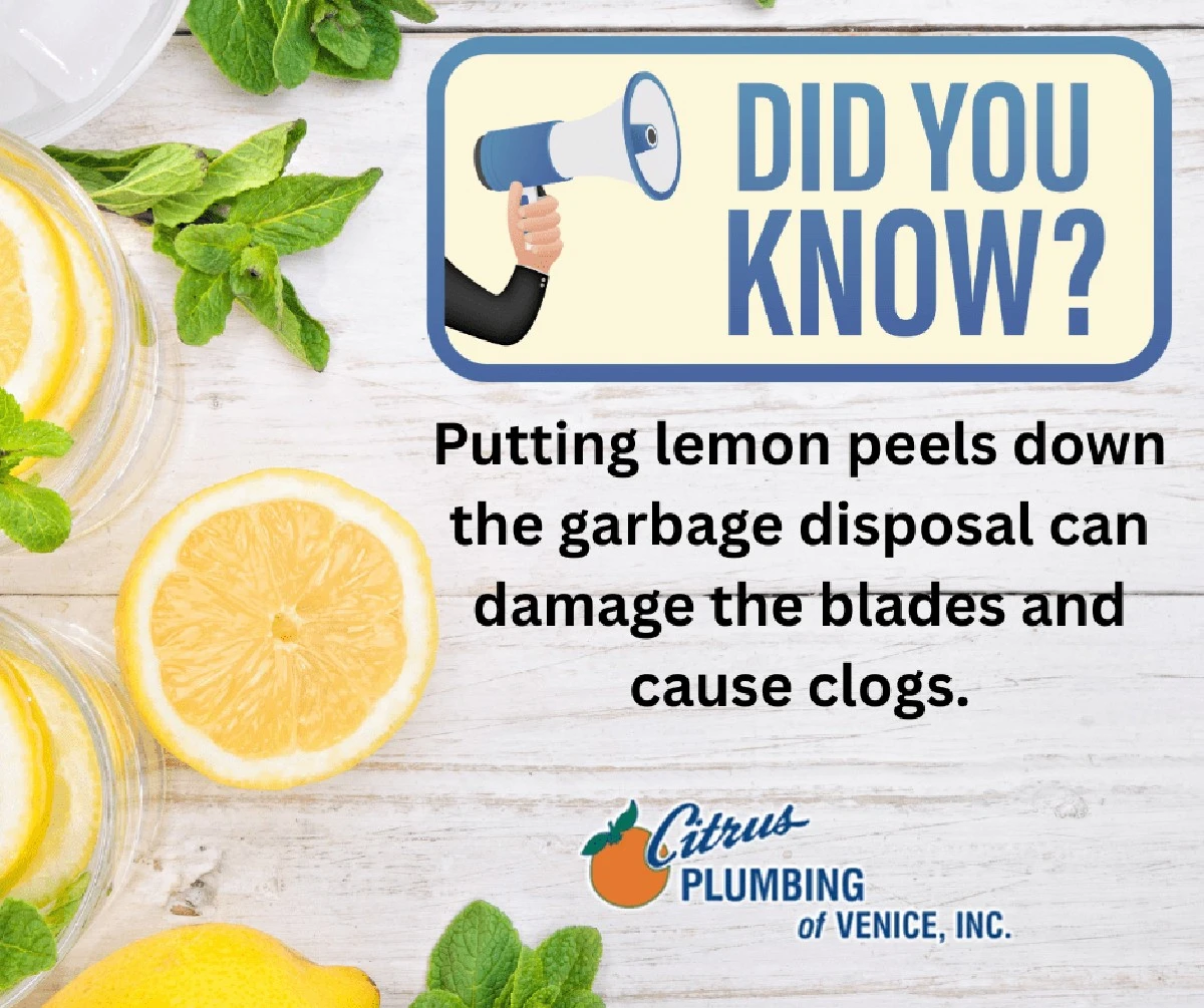 Citronová kůra do odkličovače: přírodní řešení s vůní