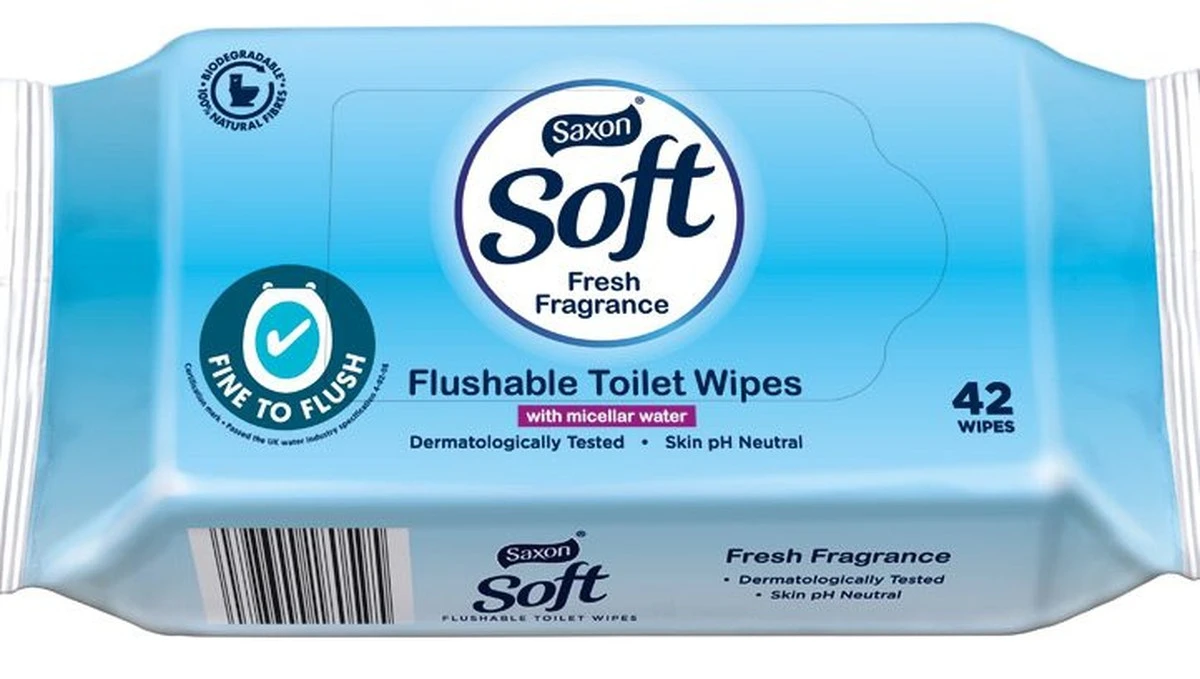 Instalatéři varují: nikdy netlačte tyto věci do pipes - image 2