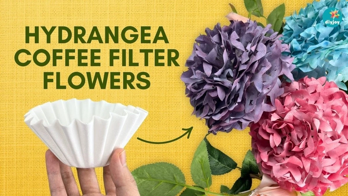 Kávový filtr do květináče změní vodu v základnu života rostlin