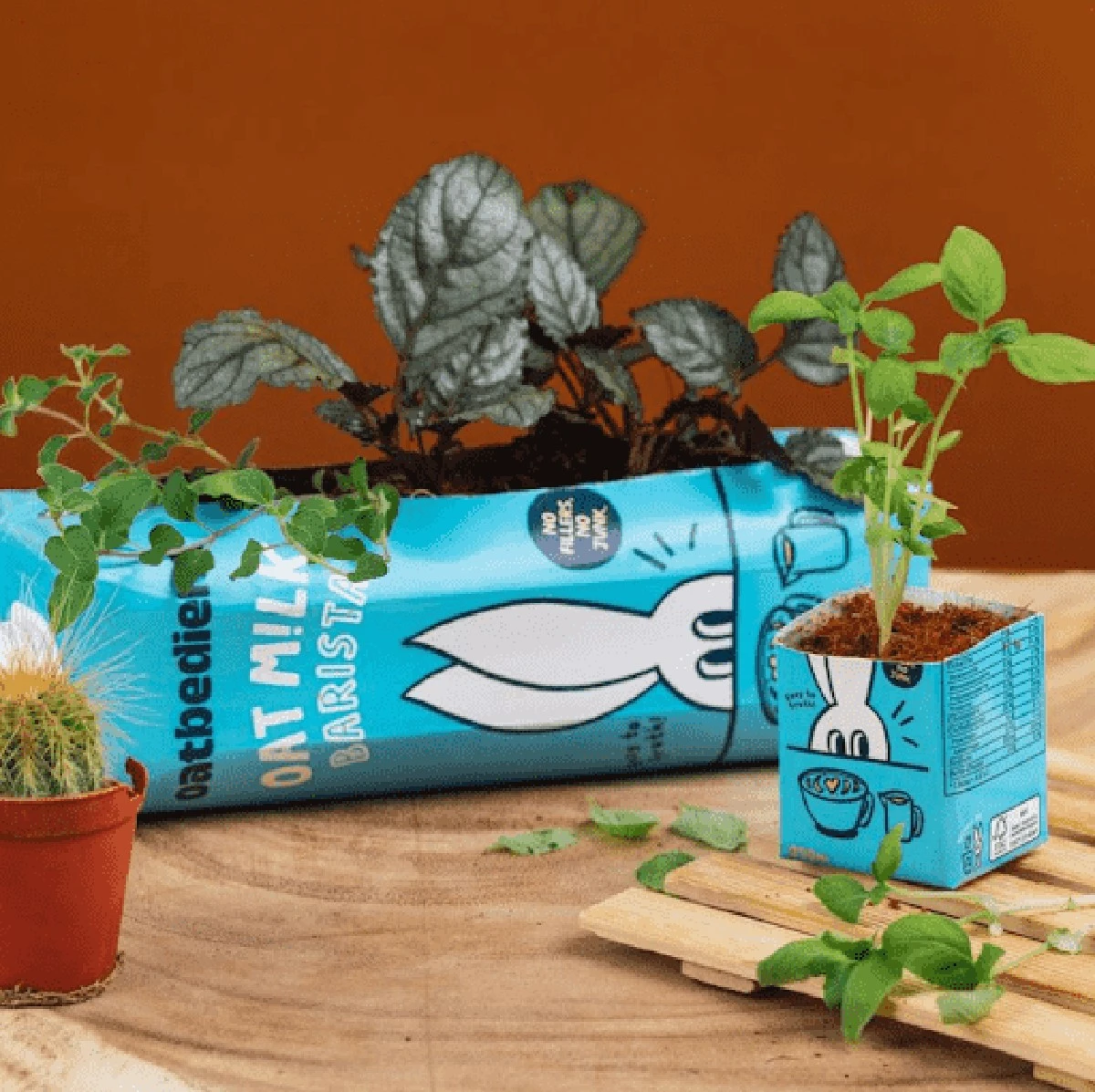 Krabice od mléka jako bezplatný květináč: designéři se tím inspirují