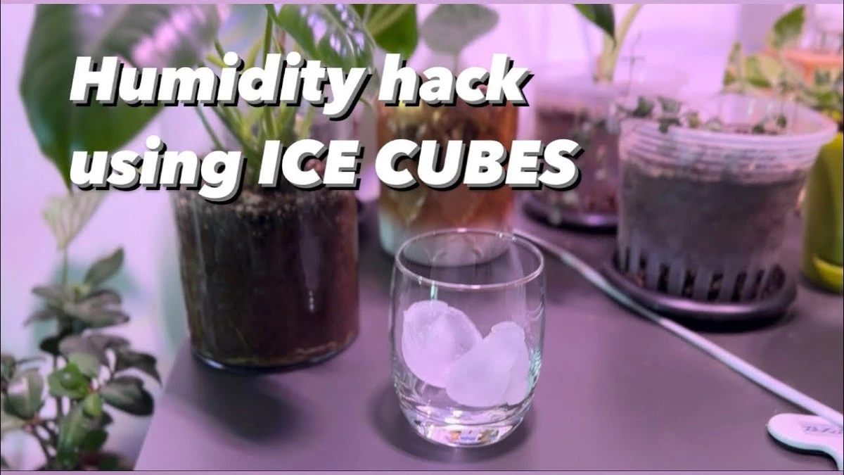 Novinový papír pod matrací: staletý trik proti vlhkosti, který vřeští z jednoduchosti - image 2