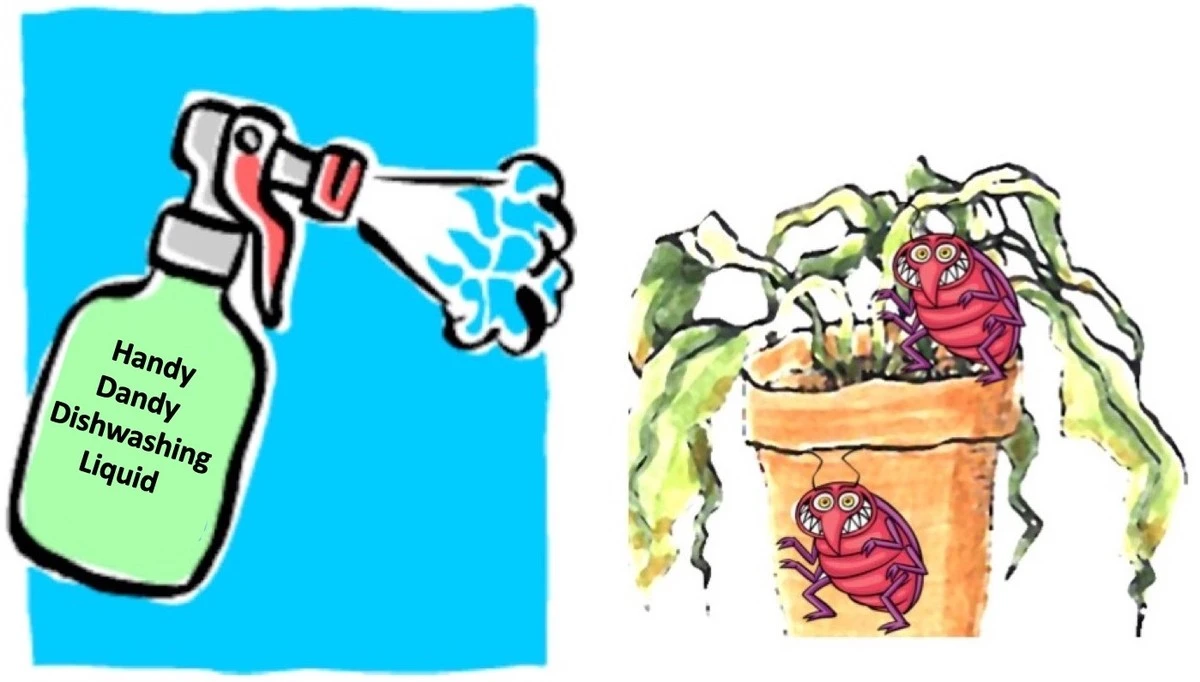 Obyčejné saponáty jako přírodní insekticid na balkóně