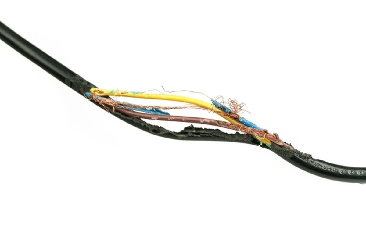 Obyčejný střihák může oželet váš elektrikáře o 500 korun - image 2