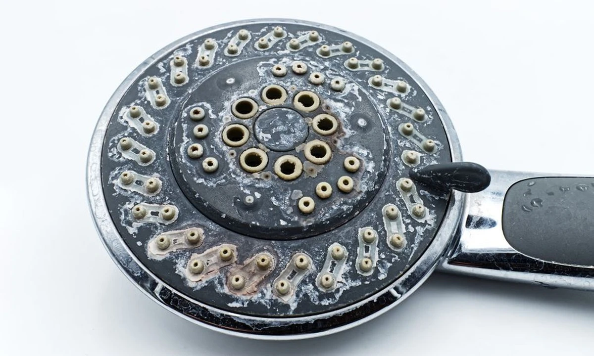 Ocet a jedlá soda na zakrslé sprchové trysky: stačí 15 minut - image 2