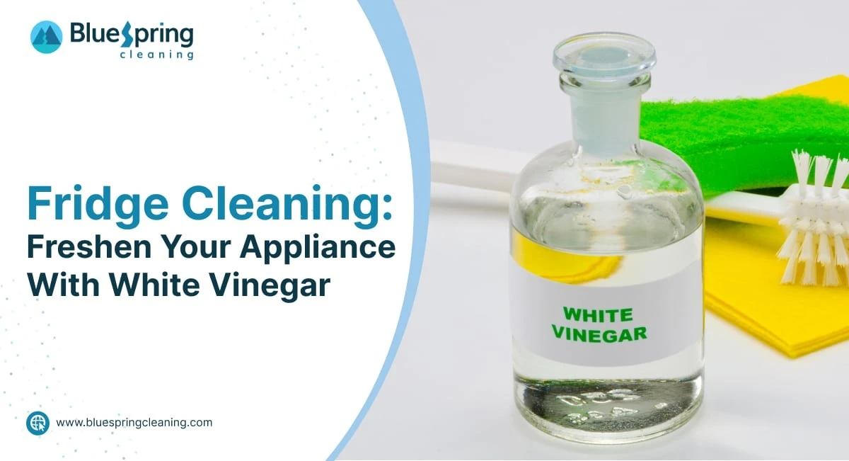 Ocet do ledničky: jak se zbavit pachů bez chemie