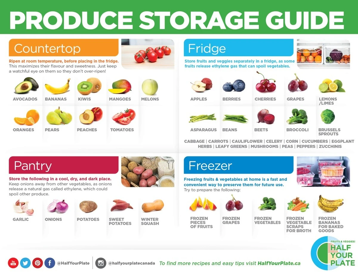 Papírová ubrouska v lednici vám prodlouží čerstvost zeleniny na dvojnásobek - image 2