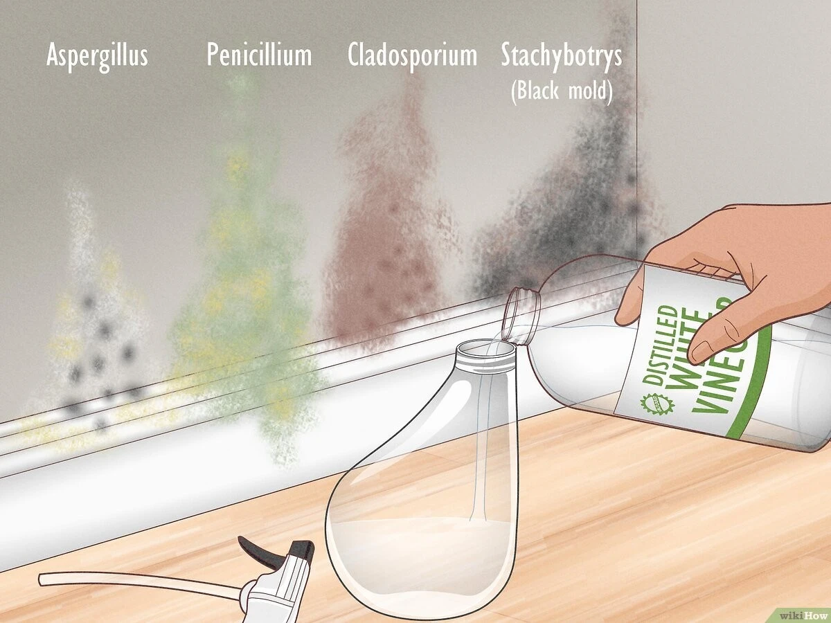 Papírový ručník a ocet proti plísni: Jak to chemicky funguje
